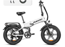 The Fat Bike